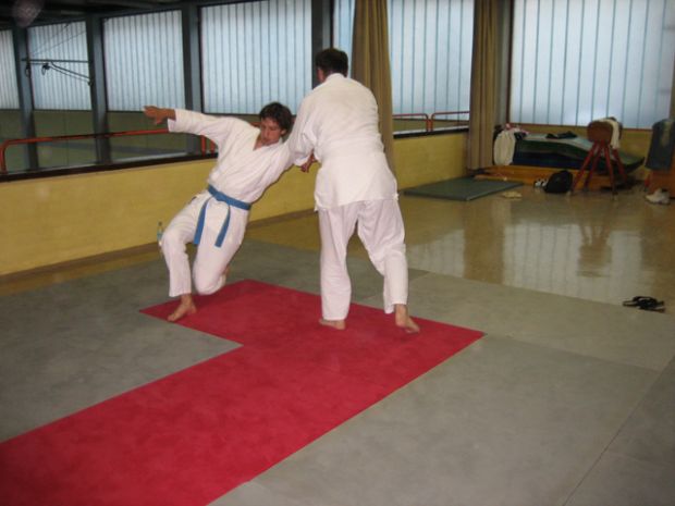Trening aikida