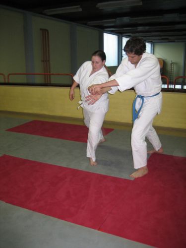 Trening aikida
