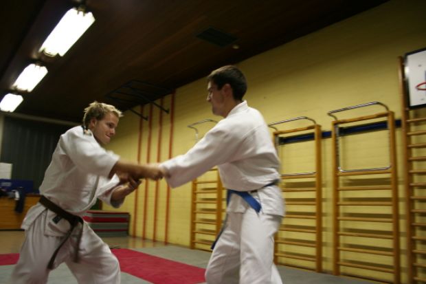 Oktobrski trening aikida