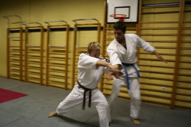 Oktobrski trening aikida
