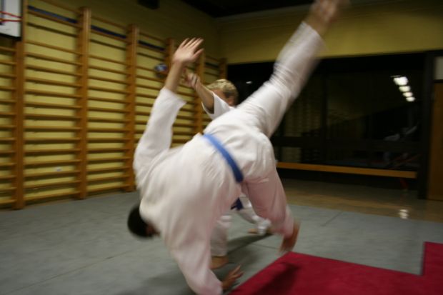 Oktobrski trening aikida