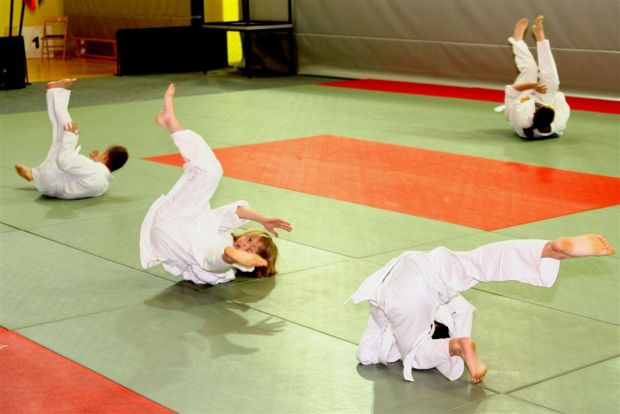 Predstavitev aikida priznanja Japonskega veleposlaništva